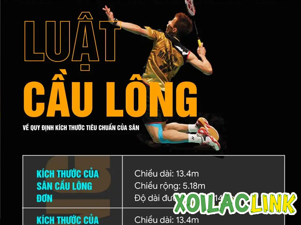 Luật cầu lông: Từ quy định cơ bản đến những tình huống đặc biệt