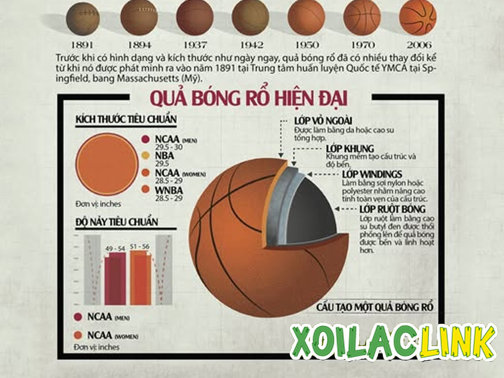 cau-tao-cua-bong-ro-hien-dai