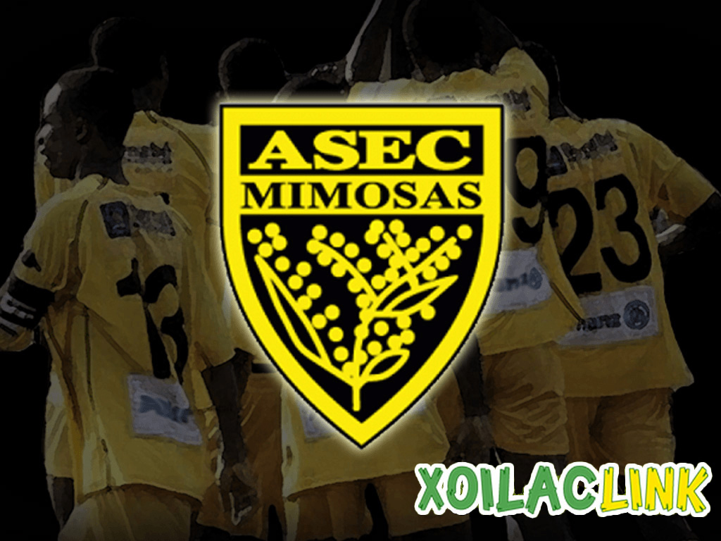 Những đội bóng bất bại lâu nhất thế giới: Hành trình huyền thoại