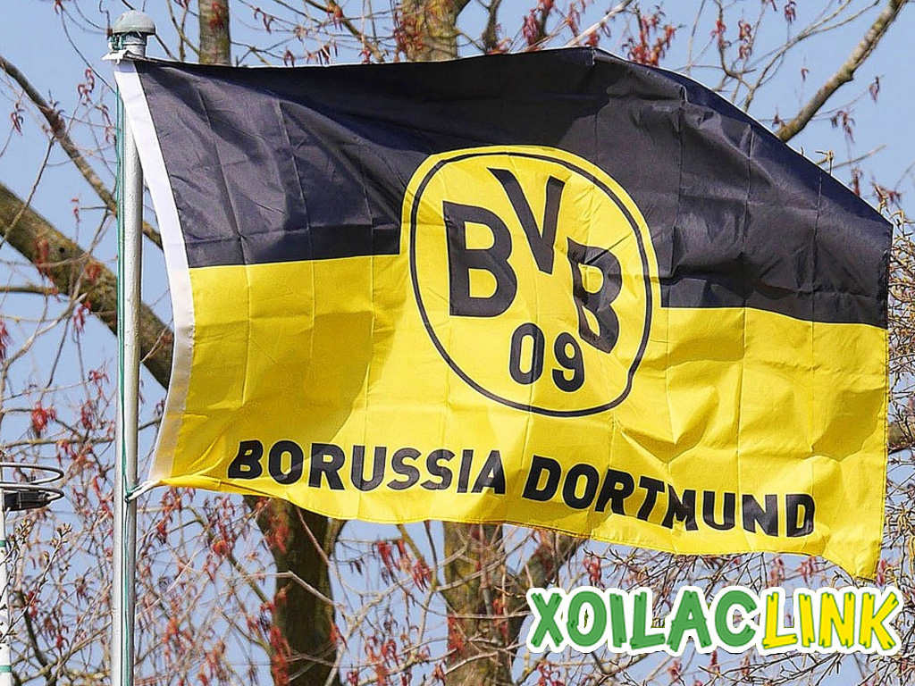 Dortmund là đội bóng nước nào? Lịch sử, thành tích ra sao?